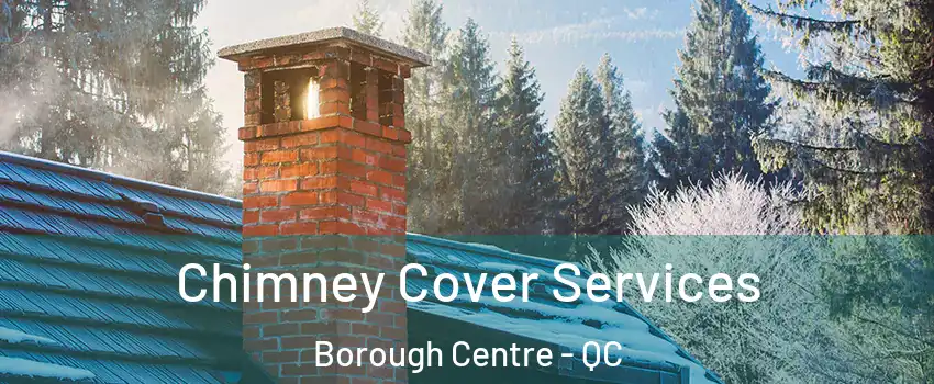  Chimney Cover Services Borough Centre - QC