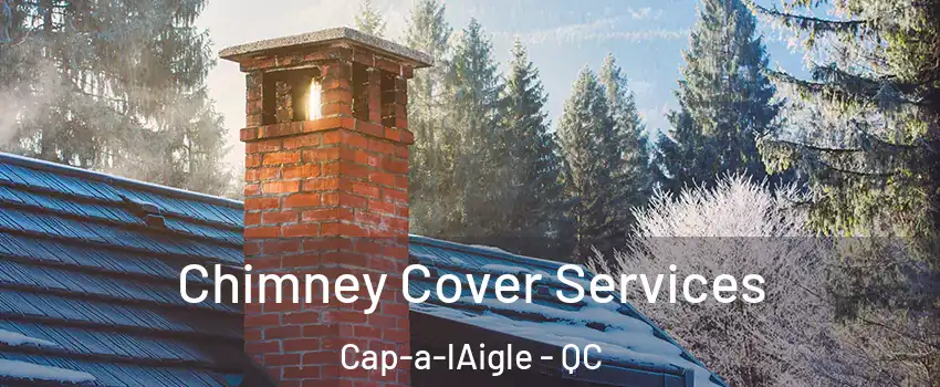  Chimney Cover Services Cap-a-lAigle - QC