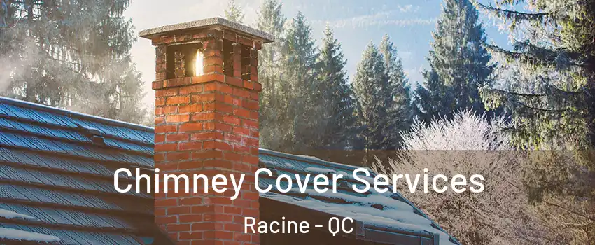  Chimney Cover Services Racine - QC
