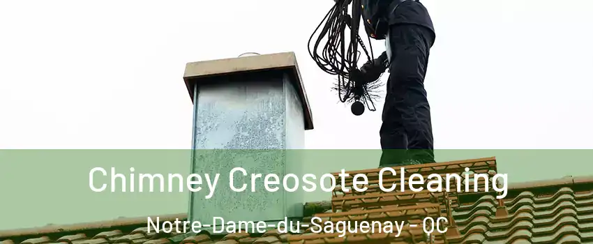  Chimney Creosote Cleaning Notre-Dame-du-Saguenay - QC