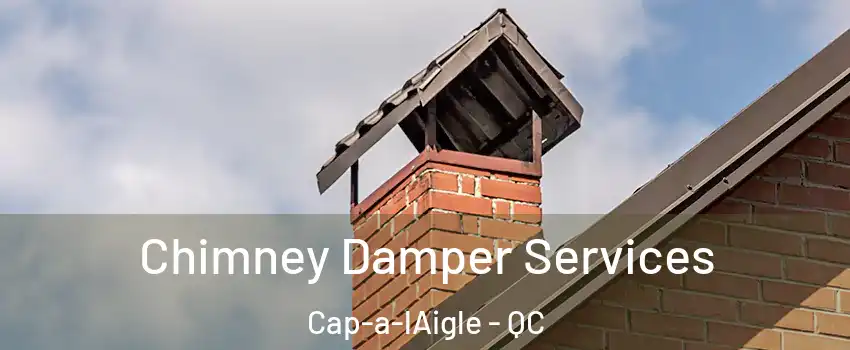  Chimney Damper Services Cap-a-lAigle - QC