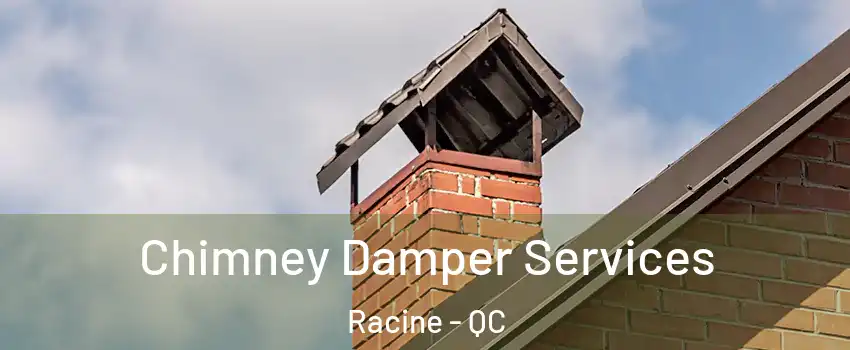  Chimney Damper Services Racine - QC