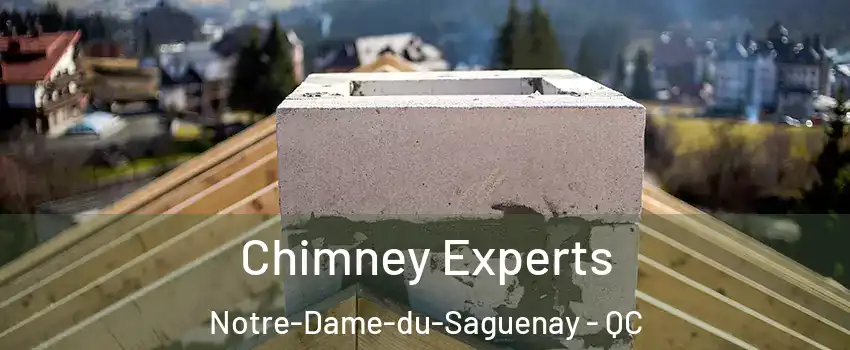 Chimney Experts Notre-Dame-du-Saguenay - QC