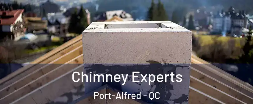 Chimney Experts Port-Alfred - QC