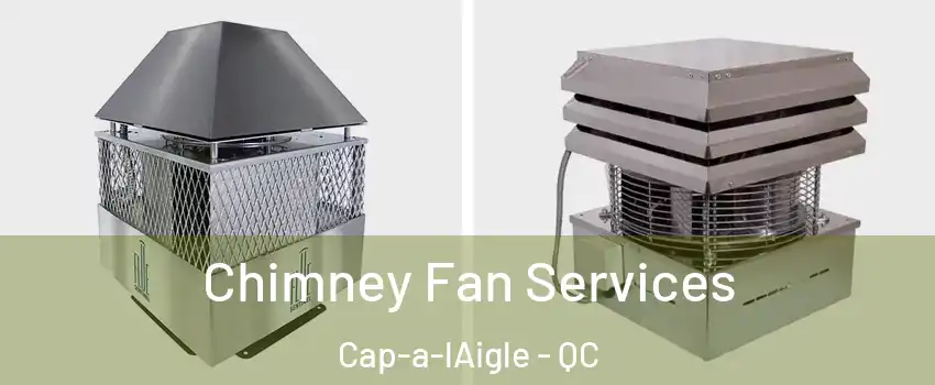  Chimney Fan Services Cap-a-lAigle - QC