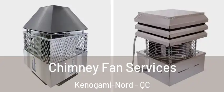 Chimney Fan Services Kenogami-Nord - QC