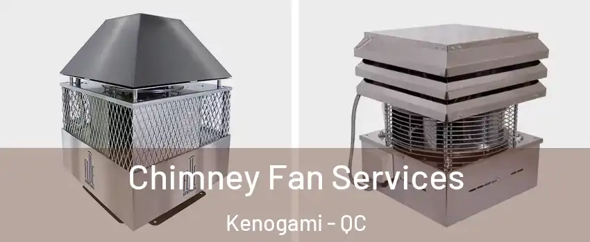  Chimney Fan Services Kenogami - QC