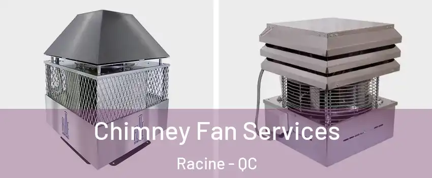  Chimney Fan Services Racine - QC