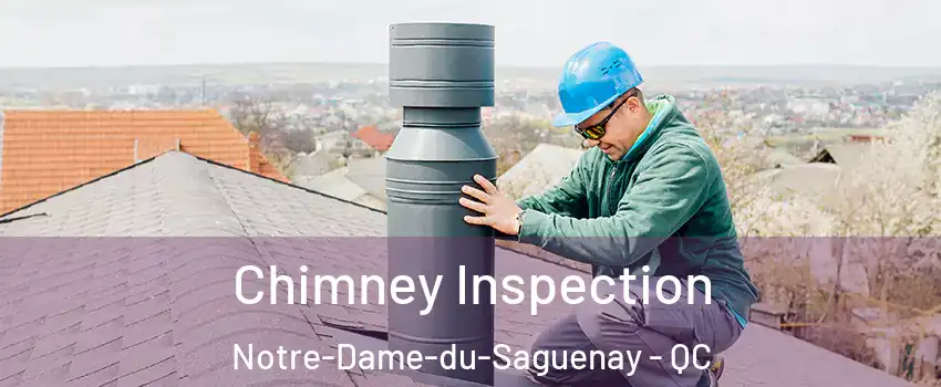  Chimney Inspection Notre-Dame-du-Saguenay - QC