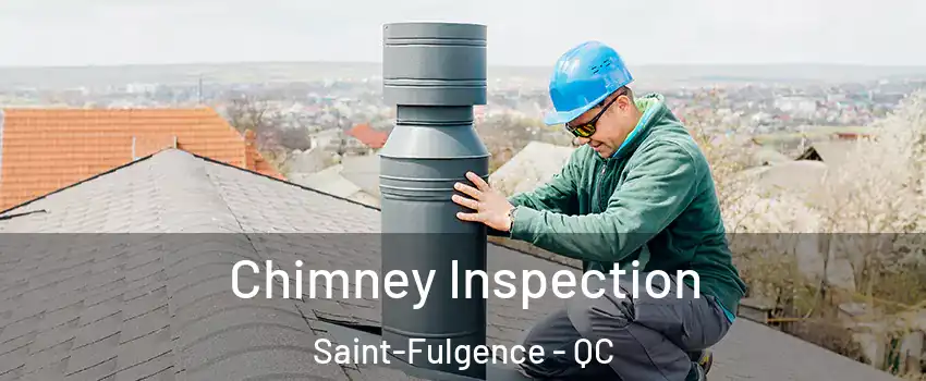  Chimney Inspection Saint-Fulgence - QC