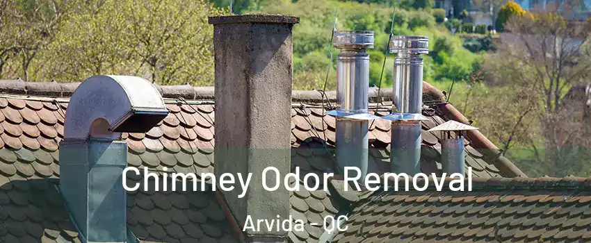  Chimney Odor Removal Arvida - QC