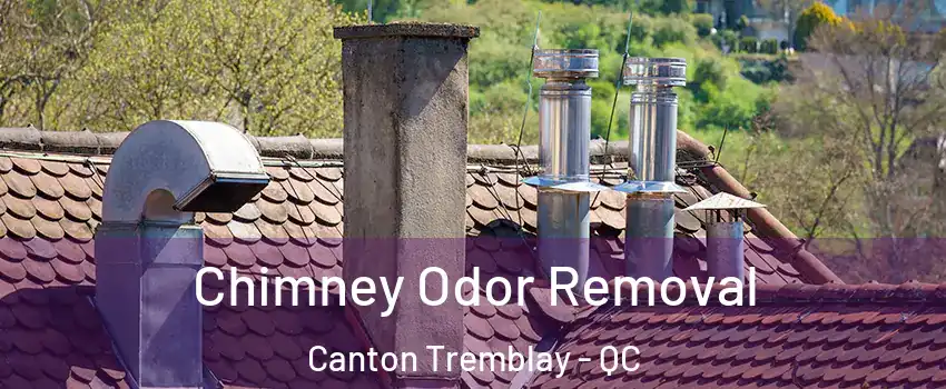  Chimney Odor Removal Canton Tremblay - QC