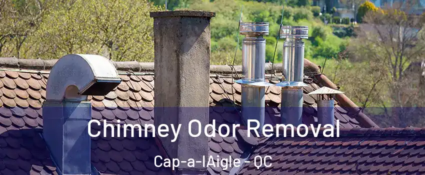  Chimney Odor Removal Cap-a-lAigle - QC