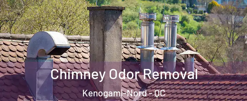  Chimney Odor Removal Kenogami-Nord - QC