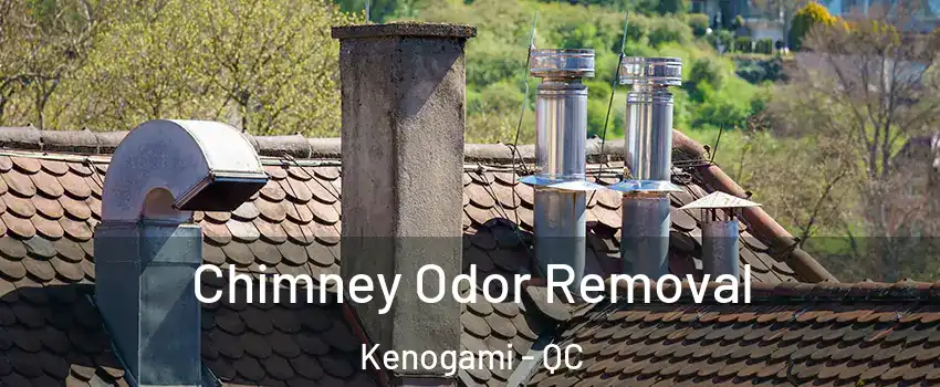  Chimney Odor Removal Kenogami - QC
