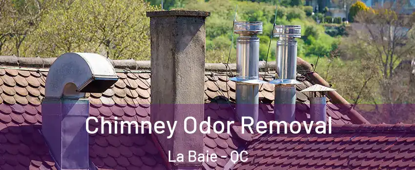  Chimney Odor Removal La Baie - QC