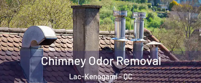  Chimney Odor Removal Lac-Kenogami - QC