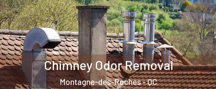  Chimney Odor Removal Montagne-des-Roches - QC