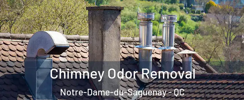  Chimney Odor Removal Notre-Dame-du-Saguenay - QC