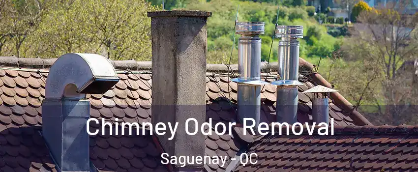  Chimney Odor Removal Saguenay - QC