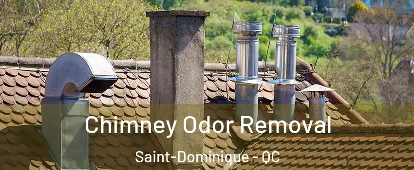  Chimney Odor Removal Saint-Dominique - QC