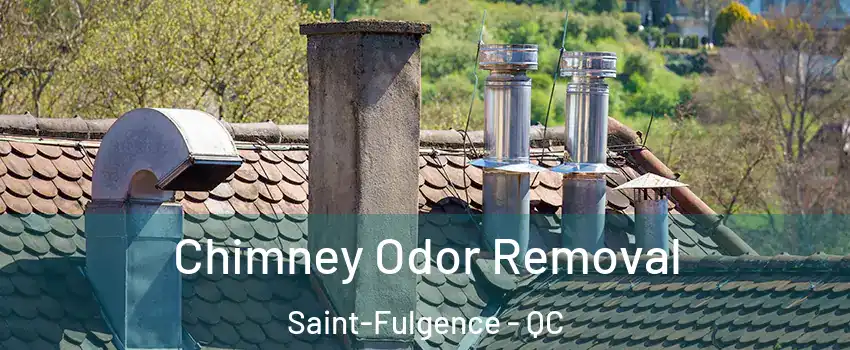  Chimney Odor Removal Saint-Fulgence - QC