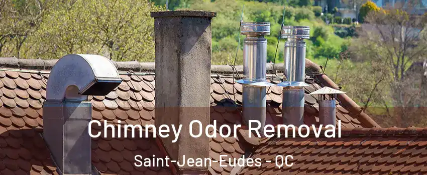  Chimney Odor Removal Saint-Jean-Eudes - QC