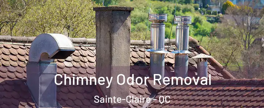  Chimney Odor Removal Sainte-Claire - QC