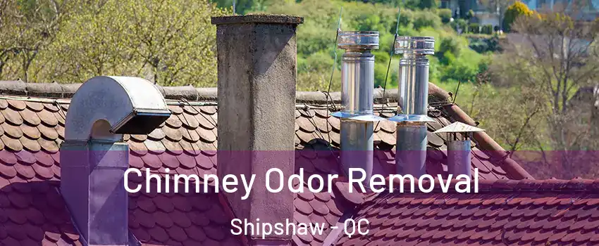  Chimney Odor Removal Shipshaw - QC