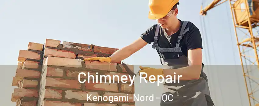  Chimney Repair Kenogami-Nord - QC