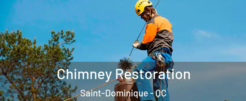  Chimney Restoration Saint-Dominique - QC