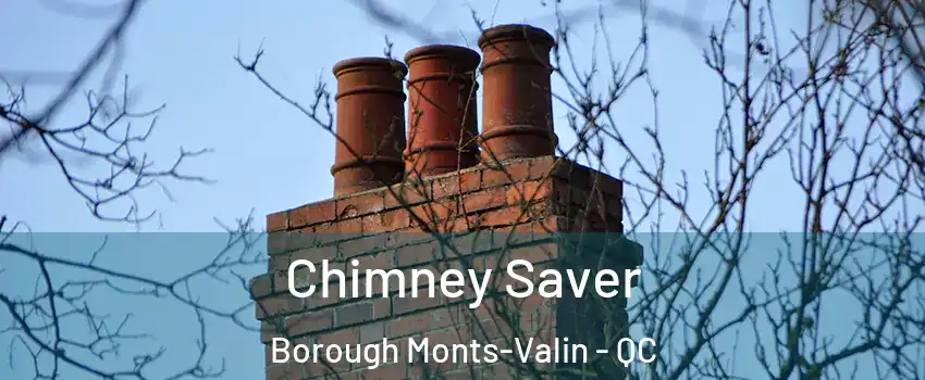 Chimney Saver Borough Monts-Valin - QC
