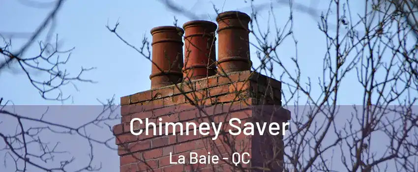  Chimney Saver La Baie - QC