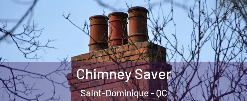  Chimney Saver Saint-Dominique - QC