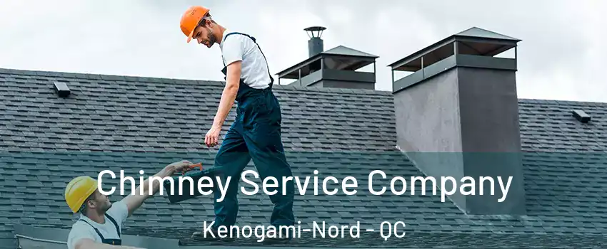  Chimney Service Company Kenogami-Nord - QC