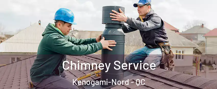  Chimney Service Kenogami-Nord - QC