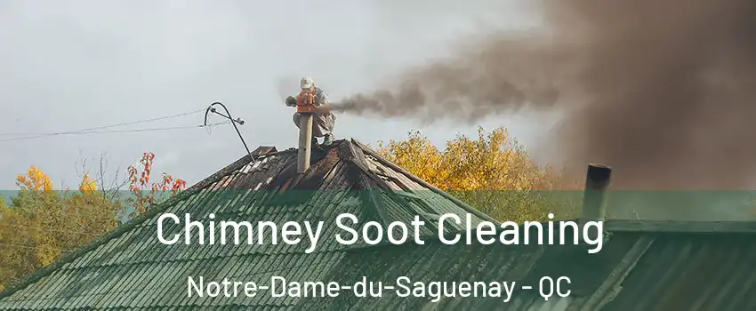  Chimney Soot Cleaning Notre-Dame-du-Saguenay - QC