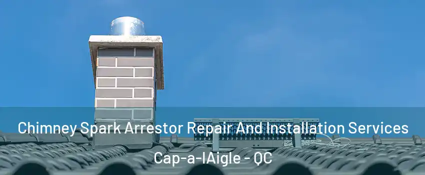  Chimney Spark Arrestor Repair And Installation Services Cap-a-lAigle - QC