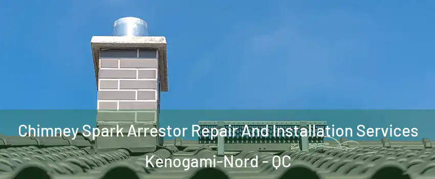  Chimney Spark Arrestor Repair And Installation Services Kenogami-Nord - QC