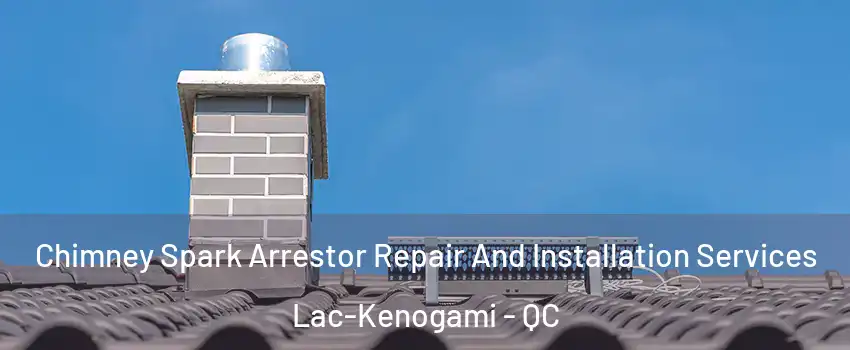  Chimney Spark Arrestor Repair And Installation Services Lac-Kenogami - QC