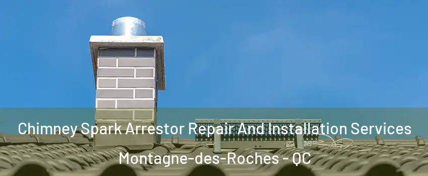  Chimney Spark Arrestor Repair And Installation Services Montagne-des-Roches - QC