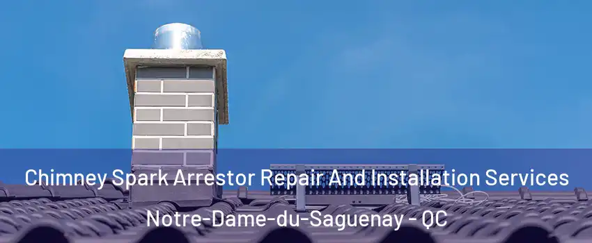  Chimney Spark Arrestor Repair And Installation Services Notre-Dame-du-Saguenay - QC