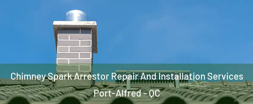  Chimney Spark Arrestor Repair And Installation Services Port-Alfred - QC