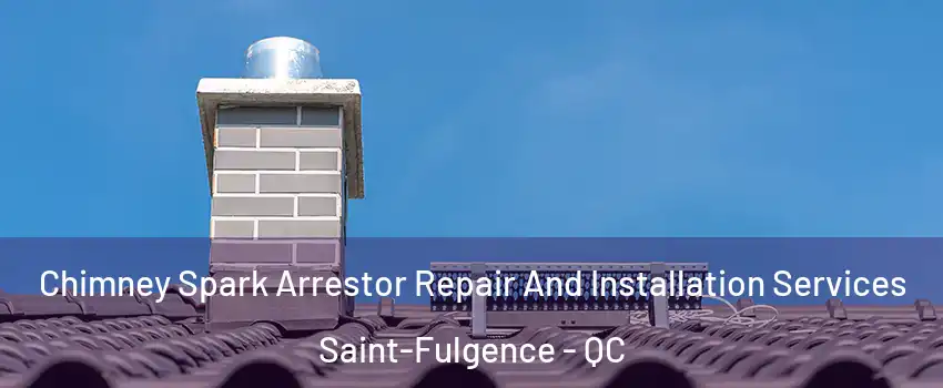  Chimney Spark Arrestor Repair And Installation Services Saint-Fulgence - QC
