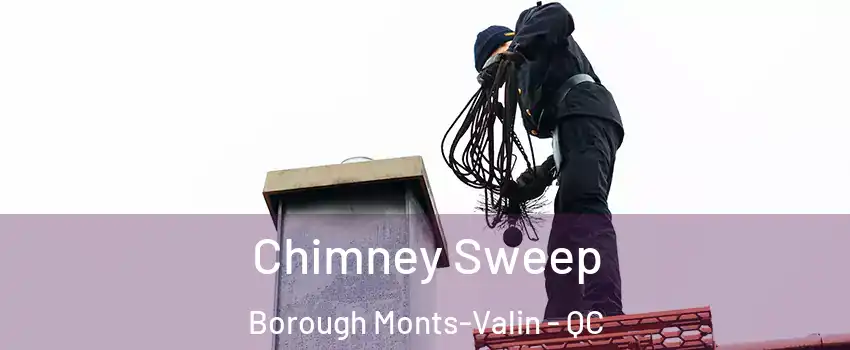  Chimney Sweep Borough Monts-Valin - QC