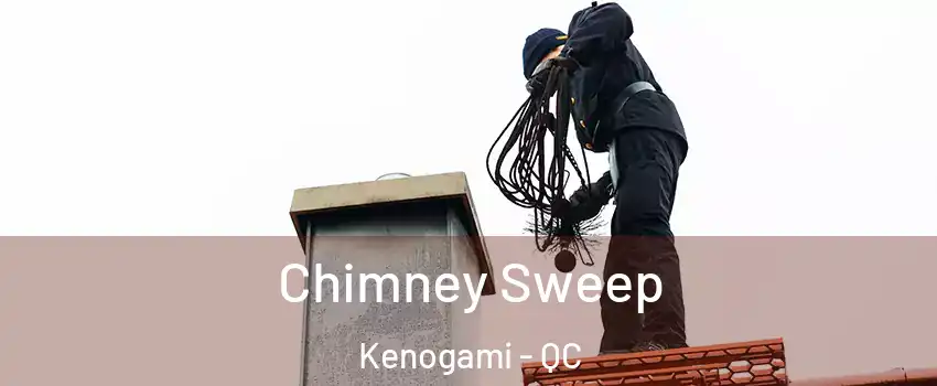  Chimney Sweep Kenogami - QC