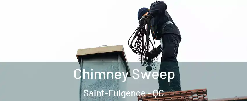  Chimney Sweep Saint-Fulgence - QC