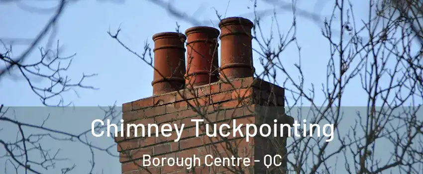  Chimney Tuckpointing Borough Centre - QC