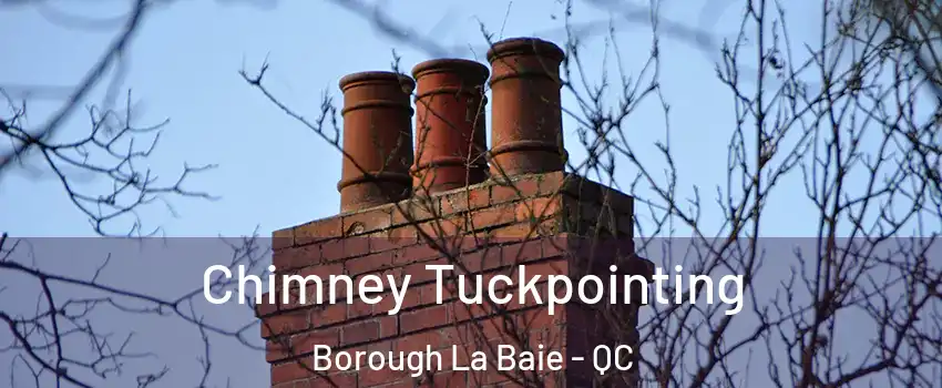  Chimney Tuckpointing Borough La Baie - QC