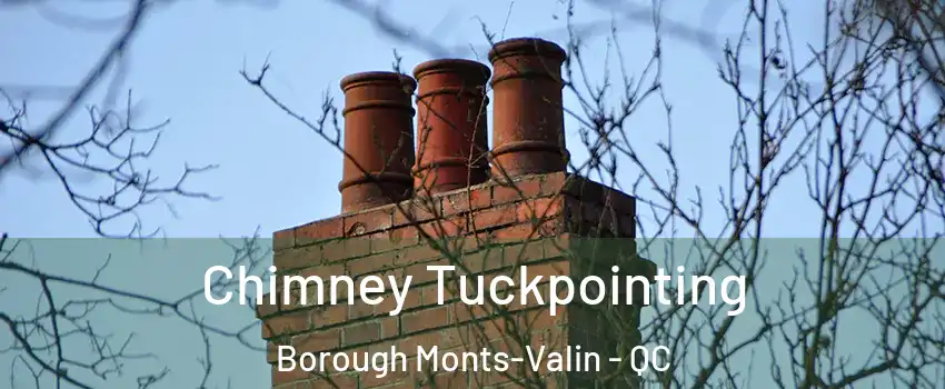  Chimney Tuckpointing Borough Monts-Valin - QC